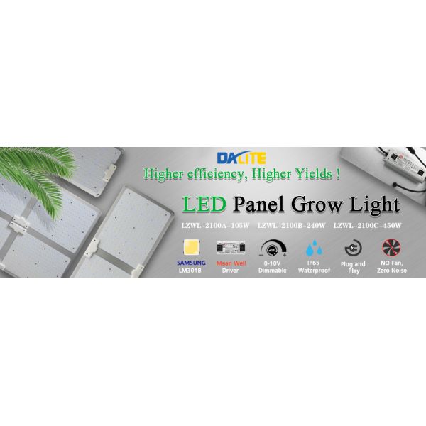 Sunlike Full Spectrum 240w Led Panel Grow Light For Hydroponic Indoor