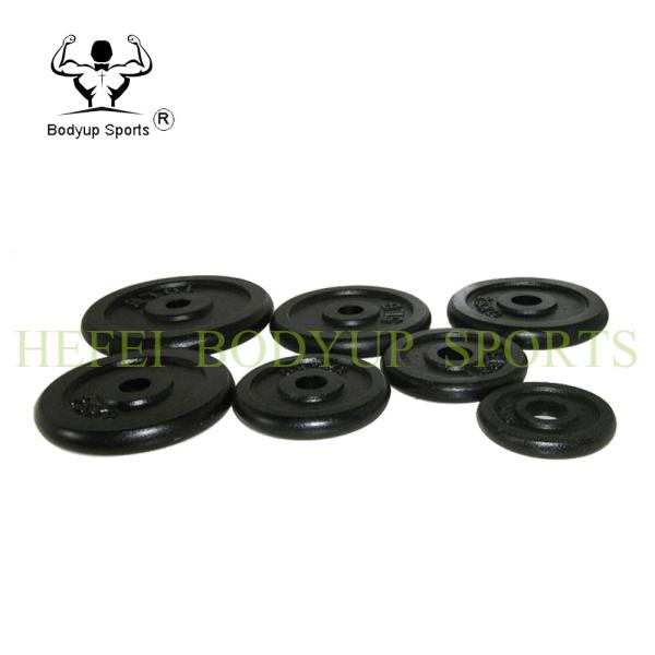 Gym Crossfit Fitness Weight Plates Customized Logo Long Service Life