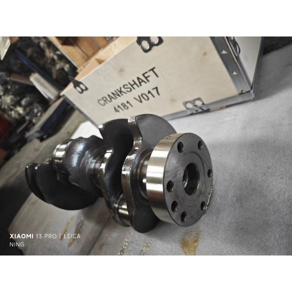 Готовый к отгрузке двигатель из сплава стали коленчатый вал Перкинс 1103C-33 Перкинс P4181V017