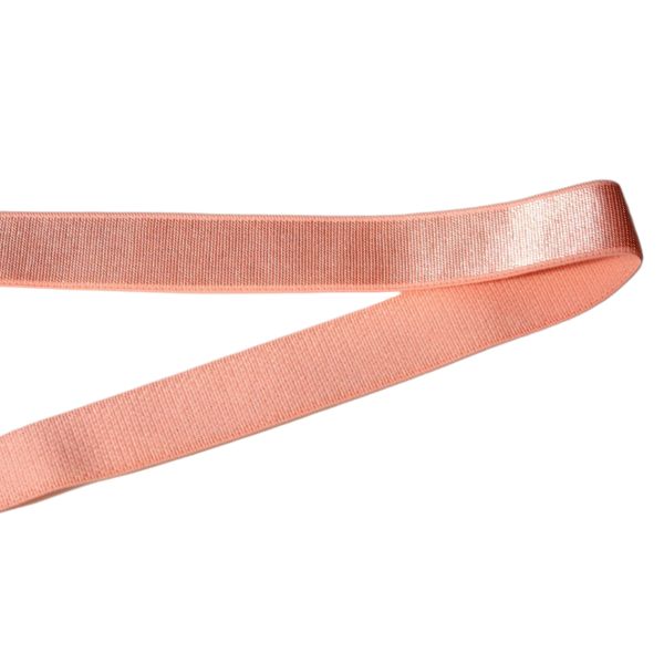 DANSKY High Quality Nylon Shiny Stain Bra Elastic Webbing Strap Elastic Band for Women Bra