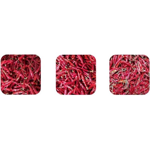 Машина 400 разделителя цвета чилей выбора формы - 600Kg/H слой 8.2kw одиночный/двойной