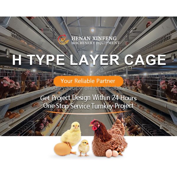 Large Metal Hen Layer House Battery Cage Run Cheap Chicken Coop for Poultry