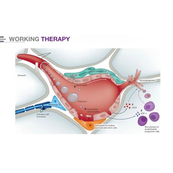 Physical Therapy Shock Wave Multifunctional Beauty Machine With ED Treatment