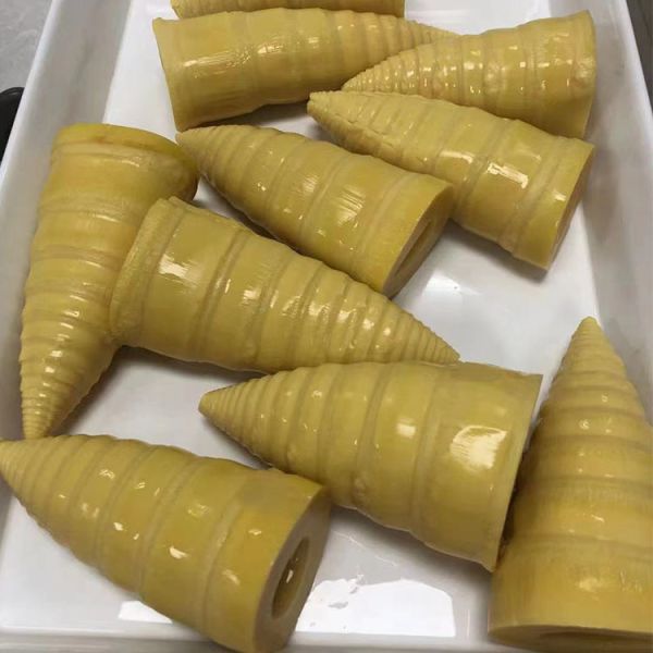Hot Wholesale Chinese Fine Quality Freshly Slender Pickled Canned Bamboo Shoots Cut Into Halves