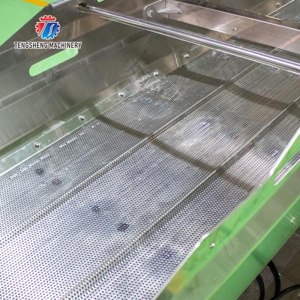 Vibration Air Dryer Vegetable Fruit Leaves Vegetables Saiko persimmon Ginger chili onion garlic Greens Lettuce Cabbage Shiitake mushrooms Mushrooms Bamboo shoots fungus lemon Washing Dryer Washing