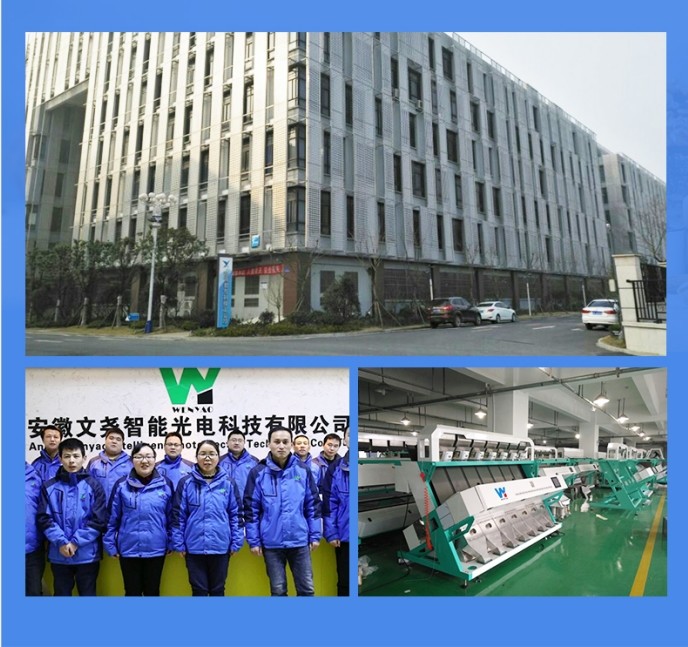 Advanced Technology Fig Hazelnut Color Sorter Coffee Bean CCD Peanut Rice Optical Sorter