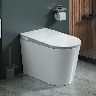 Assoalho cerâmico um bidê nivelado automático elétrico esperto inteligente do WC da bacia de toalete da parte