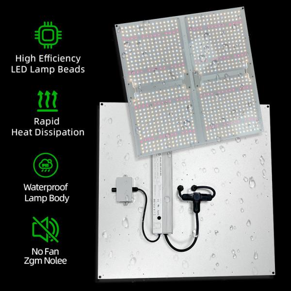High PPFD Grow Lights 100W 200W 400W 600W Full Spectrum LED Light Panel For Plant Growth