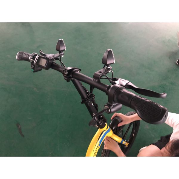 Батарея скутера 250w 36v Lithitum взрослых зада 16inch фронта 20inch электрическая