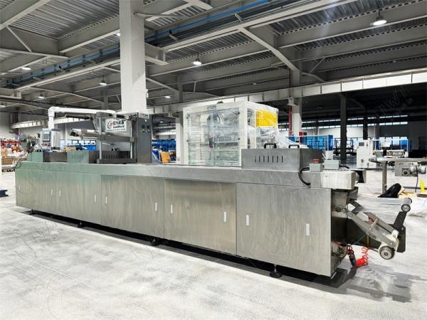 Equipamento de vedação automática de alimentos para salsichas de carne bovina de porco Máquina de embalagem a vácuo
