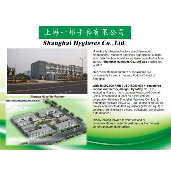 Hysafety Waterproof Leather Mittens