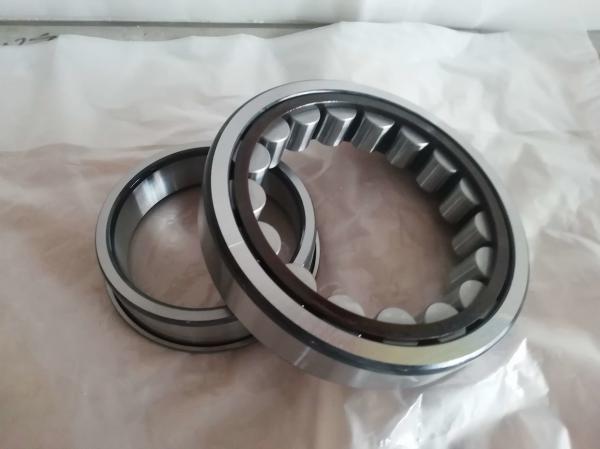 Plastic Drum Packaging Roller Main Bearings Double Shielded NU1020 100*150*24mm