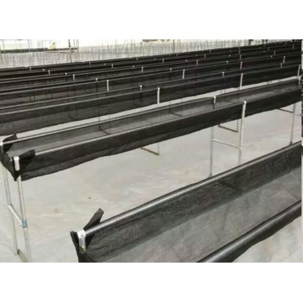 Transparent Greenhouse Strawberry Production , Anti Fog Plastic Film Greenhouse