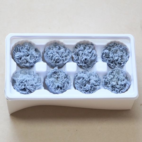 Factory Price Preserved Flowers Real Preserved Carnation For Mother