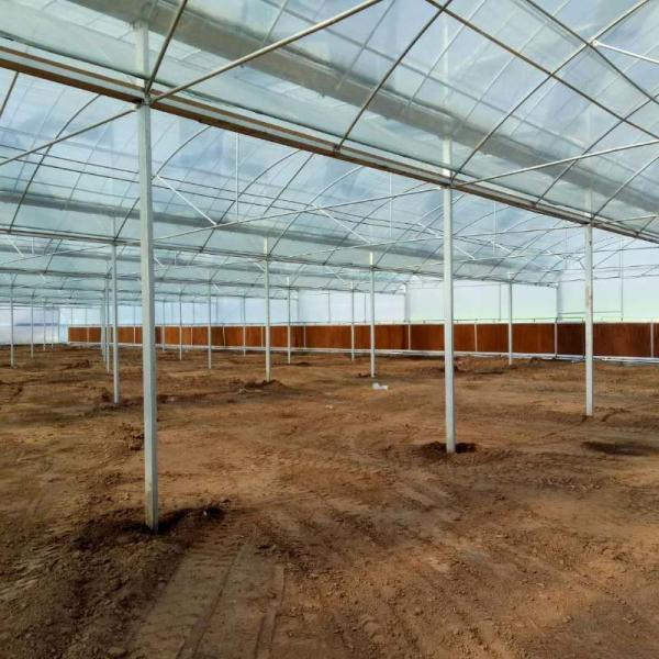 6 Foot 8 Foot Double Roof Arch Muliti Span Film Greenhouse Keep Warm For Tomatoes
