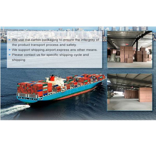 Castor Medical Hospital Beds Manual Childrens Metal Bed Frame ISO13485 CE Approved