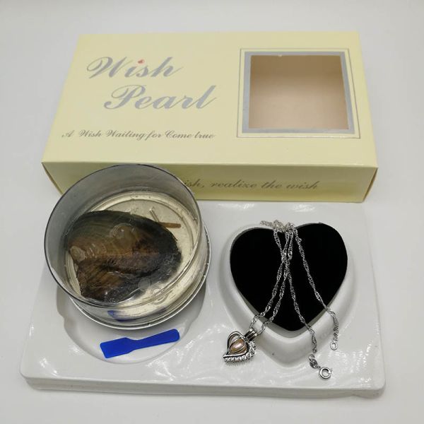 Wish Love Pearl Necklace Gift Set with Cage Pendant & Canned Freshwater Pearl DIY Fashion Jewelry