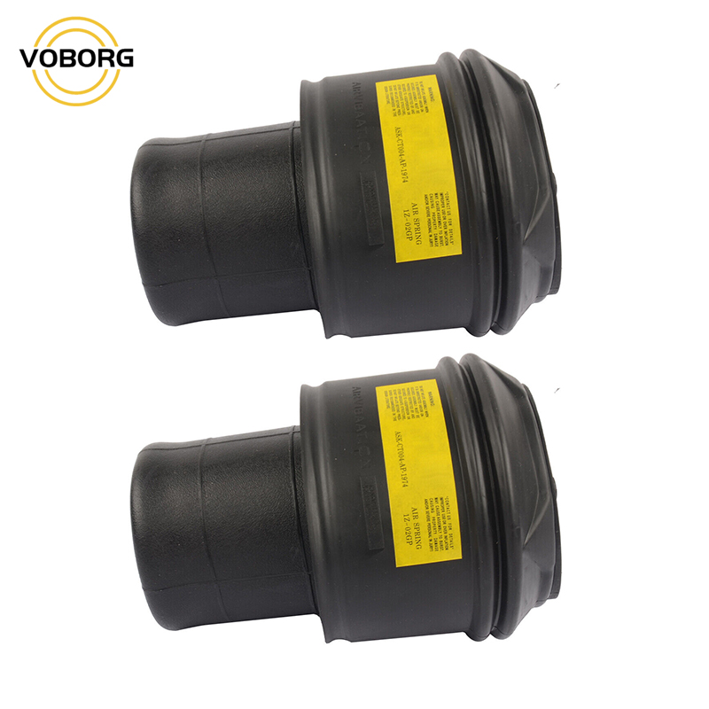 Oem Air Suspension Shock Absorber for 5012G P5012R 9676469480 9676469280 Fast Shipping