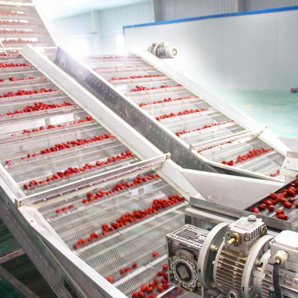 Constant Temperature Dehydration Mesh Belt Dryer Rustproof Belt Drying Machine 4Layer