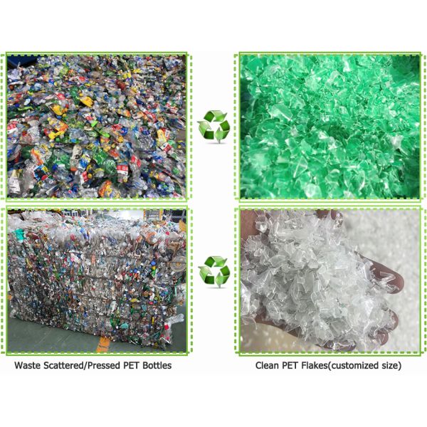 Ligne de lavage de bouteilles d'eau en PET, concasseur, déchiqueteur, machine de recyclage