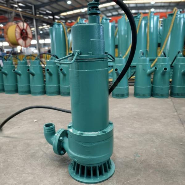 WQ15KW 20Hp Non Clogging Industrial Sewage Pumps With Powerful Drainage High Flow For Sewage