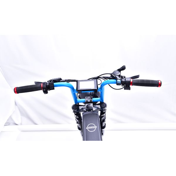 Digital Ebike Hub Motors Bicycle Electric Fat Tire Bike 7speed MTB E-bike Retro Electric Cycle 48V 500W 4.0 Inch Tire E Bike
