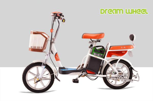 48 Vlot 250W Pedal Assist Bicycle 12Ah Lithium Electric Bike Lightweight