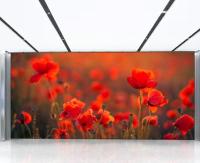 P1.86 Pantalla de pantalla de LED Interior Original de pequeño pico de píxeles pared LED