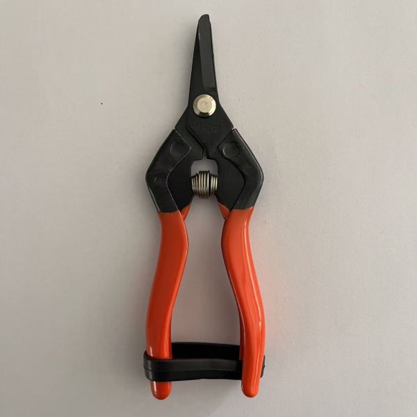 SK5 High Carbon Steel Blades Garden Scissors with Ergonomic Handle and HRC58-60 Hardness for Fruit Picking