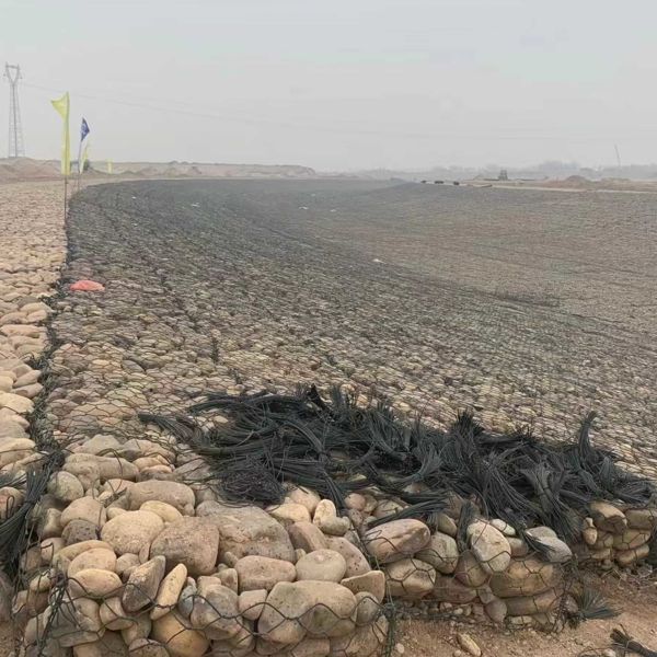 重い亜鉛メッキワイヤ60x80mmガビオンワイヤーメッシュ中古水保護区