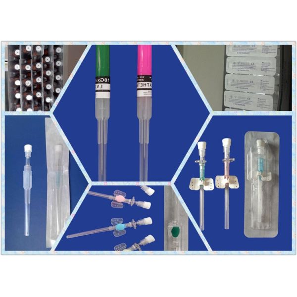 Cathéter IV médical pour animaux de compagnie / Cathéter IV / Tube IV pour animaux Chiens Chats Perfusion IV Soins permanents