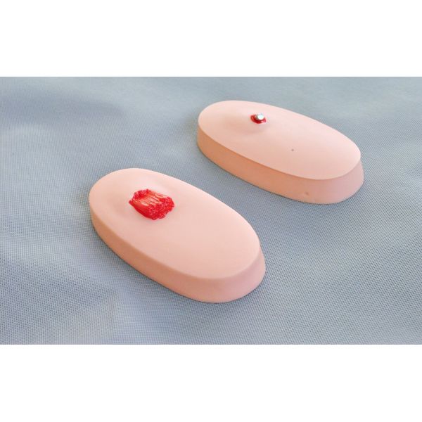 Purple Horn Medical Training Models / First Aid Manikins Trauma Accessories Module