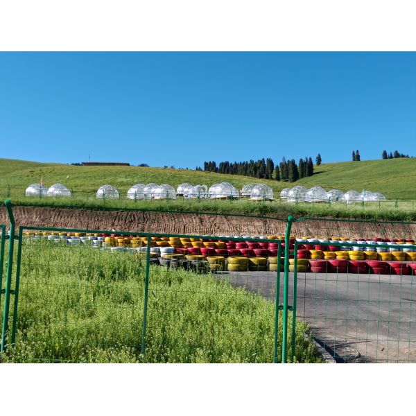 Hotel Decoration Igloo Geodesic Dome Tent Wind Resistant