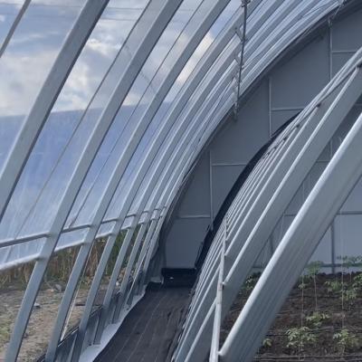 Agricultura com luz solar Aquicultura em estufa Sistema de cultivo hidropónico JX-A00201