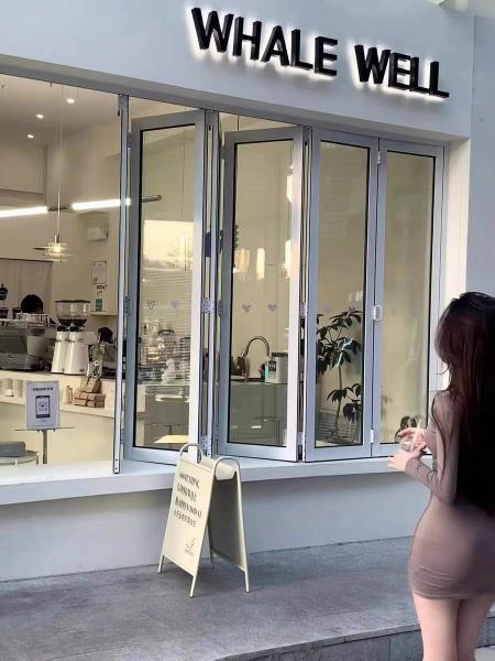 Self-Cleaning Glass Folding Windows - Hydrophobic Nano Coating