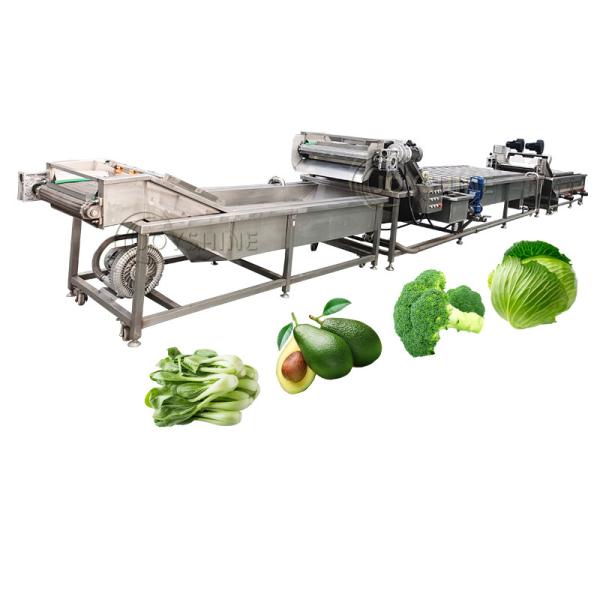 Máquina de lavar vegetais com escova de bolhas 300-500 kg/h Para cenoura mandioca Maçã