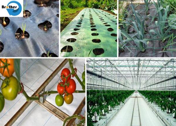 Agricultural Use PP Plastic Fabric Anti Grass Ground Cover Weed Control Mat Weed Barrier Mat