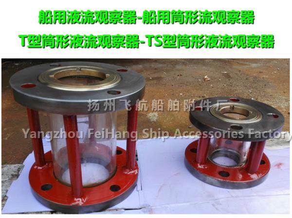 Marine fluid flow observer, liquid flow observation mirror