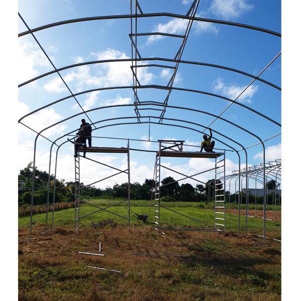 Single Layer Wind Resistant Greenhouse Rain Shelter For Maximum Protection