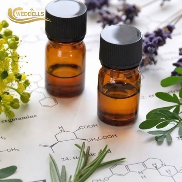 Relaxation Aromatherapy FDA Essential Oils Set Natural Perfumery And Plant Skincare Massage