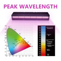 AC220V impressão 3D LED sistema de cura UV lâmpada LED 200w resfriada a água