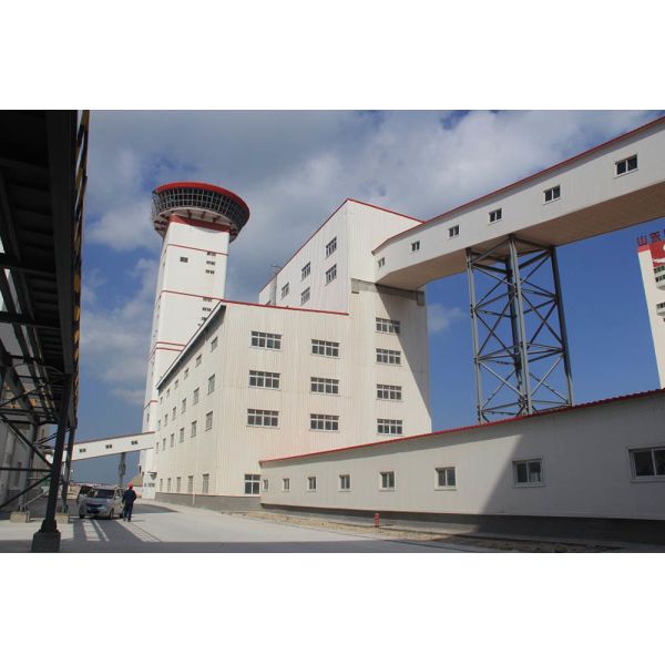 High-Strength Q355B Pre-Engineered Steel Building: Large-Span Design with Advanced Anti-Corrosion Protection
