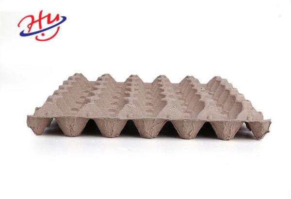 Automatic Paper Plate Making Machine Egg Tray Production Equipment