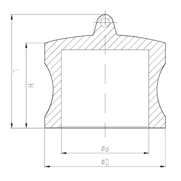 Пылезащитный колпачок соединения камлок нержавеющей стали 304 с потоком бспт бсп ДИН2999 ИСО228