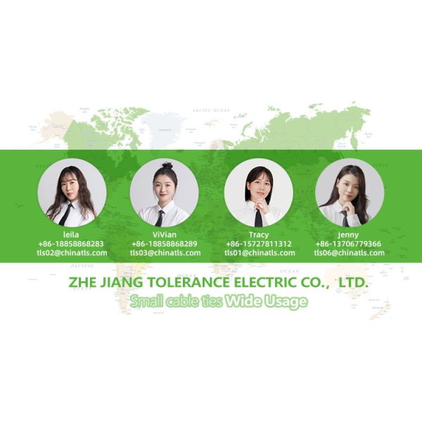 Durable Tie Wrap Mounts Environmental Resistance For Household