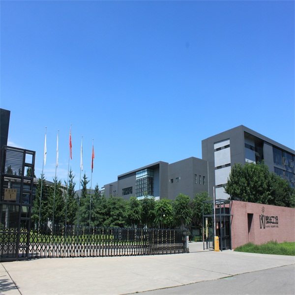 Cryolipolysis Slimming Machine fast slimming weight loss