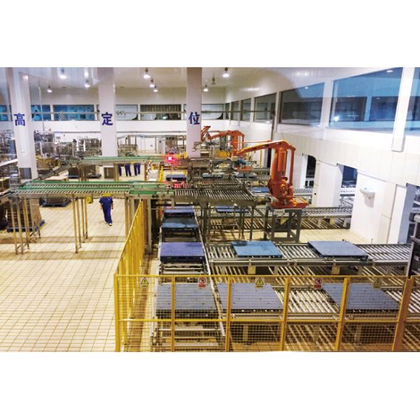 Two Way Radio Shuttle Cart And Carrier ASRS Automatic Storage And Retrieval System  Pallet Runner Rack System