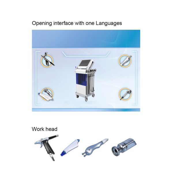 Multifunctional Beauty Therapy Machine Oxygen Jet Peel Facial Machine 11 In 1