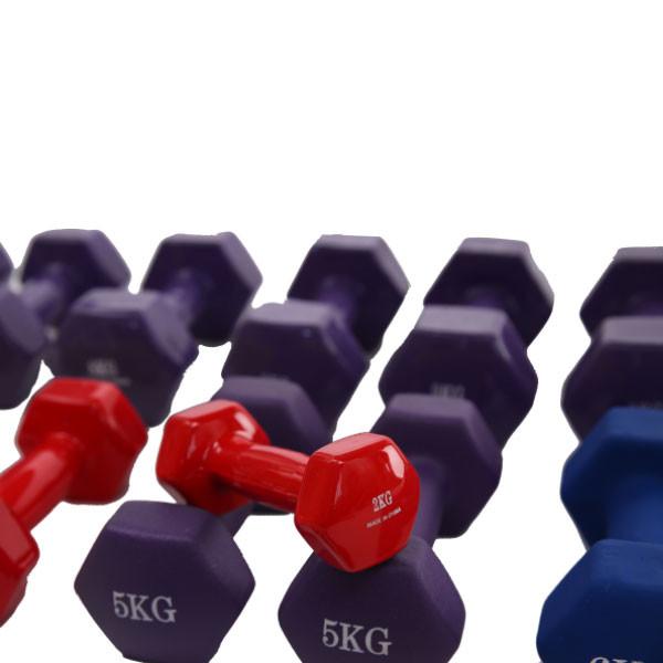 4kg Cast Iron Free Weight Exercise Equipment Neoprene Or Vinyl Dumbbell