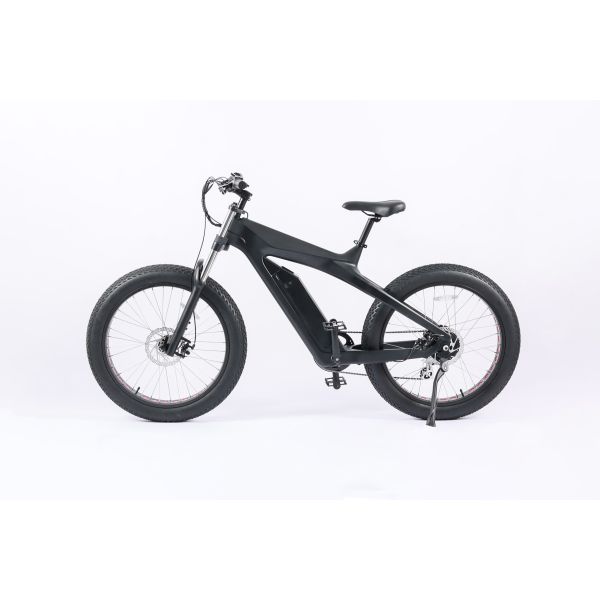 48v 750w Carbon Fiber Enduro Ebike with Aluminium Alloy Suspension Fork and Performance